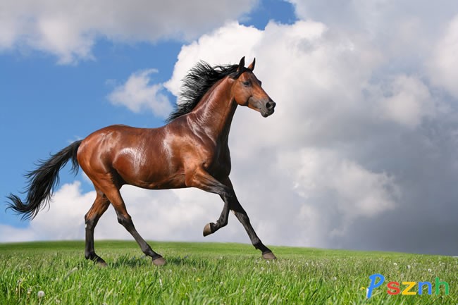 微信圖片_20170607095702