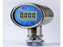 創(chuàng)威科技 廠價(jià)直銷精密數(shù)字壓力表