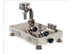 創(chuàng)威科技 廠價(jià)直銷  氣體活塞式壓力