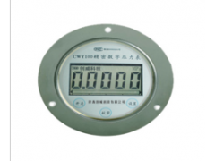 創(chuàng)威科技 廠價(jià)直銷安裝盤軸向數(shù)字壓