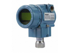 北京雷薩德儀器儀表廠價(jià)直銷2000S 