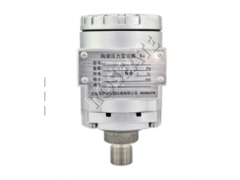 北京雷薩德儀器儀表廠價(jià)直銷2133陶