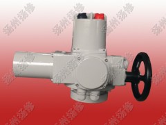 智能型電動執(zhí)行器F-DQW10 扭矩100NM