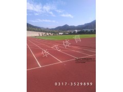 河北優(yōu)良的混合型塑膠跑道供應(yīng)商，