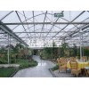靠譜的陽(yáng)光板溫室推薦——山東陽(yáng)光板溫室建設(shè)