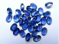 專業(yè)的四川潤通反欺詐產(chǎn)品睿盈藍(lán)寶