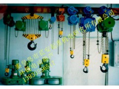 【實(shí)力廠家】生產(chǎn)供應(yīng)環(huán)鏈電動(dòng)葫蘆_