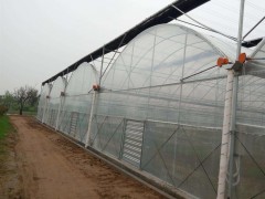 山東蔬菜大棚造價 優(yōu)質(zhì)的溫室大棚推