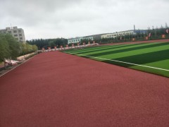 云南省臨滄市專業(yè)學(xué)校操場(chǎng)運(yùn)動(dòng)場(chǎng)透