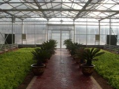 qiy，連棟薄膜溫室大棚建造商，山東