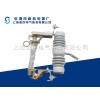 ZS-20/10高壓絕緣子|浙江跌落式熔斷器價(jià)格