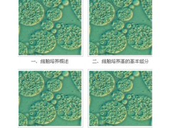 Fischer’s培養(yǎng)基就到宜興賽爾生物