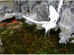 溧陽市庭院魚池水凈化系統(tǒng)   135152