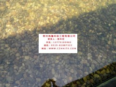 無錫市小區(qū)景觀河水凈化過濾循環(huán)增