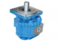 【現(xiàn)貨！】【廈工XG951裝載機(jī)轉(zhuǎn)向泵