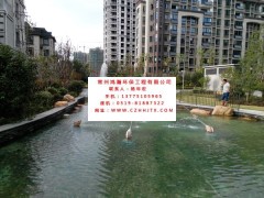 溧陽市小區(qū)景觀魚池水凈化過濾循環(huán)