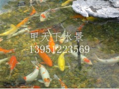 無錫市錦鯉魚池過濾公司！鴻瀚環(huán)保1