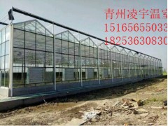 智能溫室怎么建設合理？智能溫室比