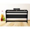 錦樂電子專業(yè)供應凱麗德鋼琴，報價合理的電子鋼琴