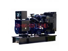 200KW英國(guó)帕金斯柴油發(fā)電機(jī)組要在哪