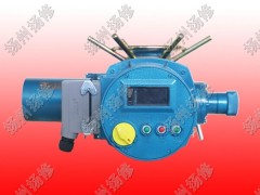 揚(yáng)修電力F-DZW10扭矩100NM智能型執(zhí)