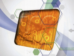 【NEPCON看亞洲】第一集：越南