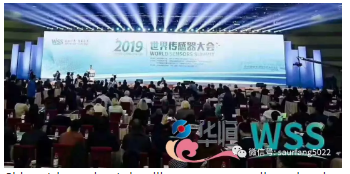 QQ圖片20191112114040