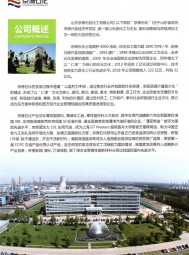 高效能燃料 _高端化工品_高性能材料 _92號(hào)車(chē)用汽油-山東京博石油化工有限公司