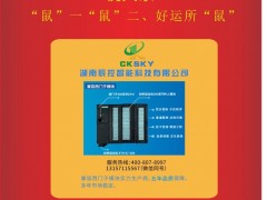 湖南辰控智能市場部經(jīng)理：肖婷2020新春寄語 一百零八星報(bào)喜之天巧星