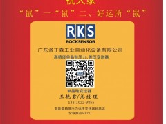 廣東洛丁森工業(yè)自動(dòng)化總經(jīng)理王艷君 2020新春寄語 一百零八星報(bào)喜之地雄星