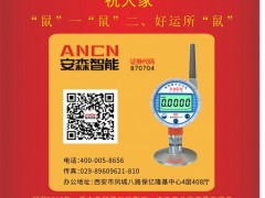 西安安森智能儀器股份董事長  王士興2020新春寄語 一百零八星報(bào)喜之地正星