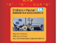 恩德斯豪斯自動化儀表（E+H）李建2020新春寄語 一百零八星報(bào)喜之地飛星