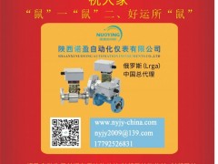 陜西諾盈自動化儀表  總經(jīng)理  李軍榮2020新春寄語 一百零八星報喜之地樂星