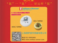 上海德薩堡傳感器總經(jīng)理 王欣2020新春寄語(yǔ) 一百零八星報(bào)喜之地鎮(zhèn)星