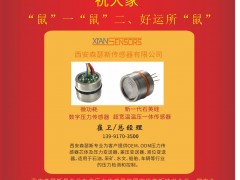 西安森瑟斯傳感器總經(jīng)理  崔衛(wèi)2020新春寄語 一百零八星報(bào)喜之地滿星