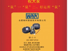 皖科智能總經(jīng)理 張從江 2020新春寄語 一百零八星報喜之天魁星