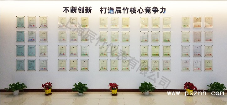 榮譽 | 辰竹董事長王竹平獲評CAIMRS領(lǐng)軍力量之智未來·產(chǎn)業(yè)先鋒