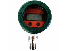 寶雞市普瑞思電子PYB109防爆數(shù)字壓