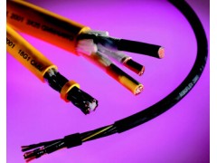 成都艾可斯電氣 供應(yīng) 產(chǎn)品名稱：機