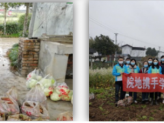 學(xué)習(xí)雷鋒好榜樣，團(tuán)員青年獻(xiàn)愛心