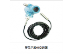 帶顯示液位變送器