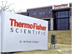 先放過芯片吧，中國這個(gè)行業(yè)可能更悲情