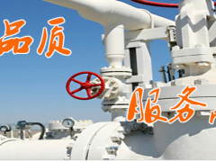 廈門精川 渦街流量計初次安裝注意事項及日常的維護(hù)保養(yǎng)