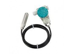 XL801A投入式殼體液位計(jì)