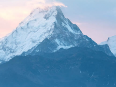 數(shù)字新基建，線上新經(jīng)濟(jì) 上海電氣“吸睛”上交會海外展