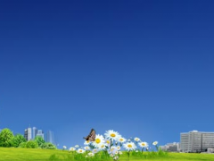 蘇州計(jì)量測試院到上海開展“加油機(jī)暗訪”工作