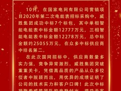 喜報 | 威勝集團成功中標電網(wǎng)項目超2.5億元！