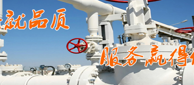 廈門(mén)精川帶你探討測(cè)量污水處理用的到的流量計(jì)有哪些？