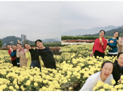 秋意深濃旅意遲，萍蹤眾聚恰當時---虹潤公司的開心一刻