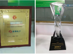 技術(shù)創(chuàng)新 再接再厲 維博電子榮獲“十大電子元件杰出品牌”稱(chēng)號(hào)